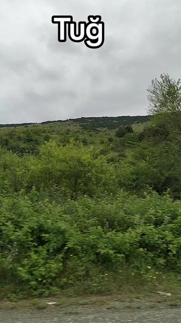 @Yegane.Laçınlı