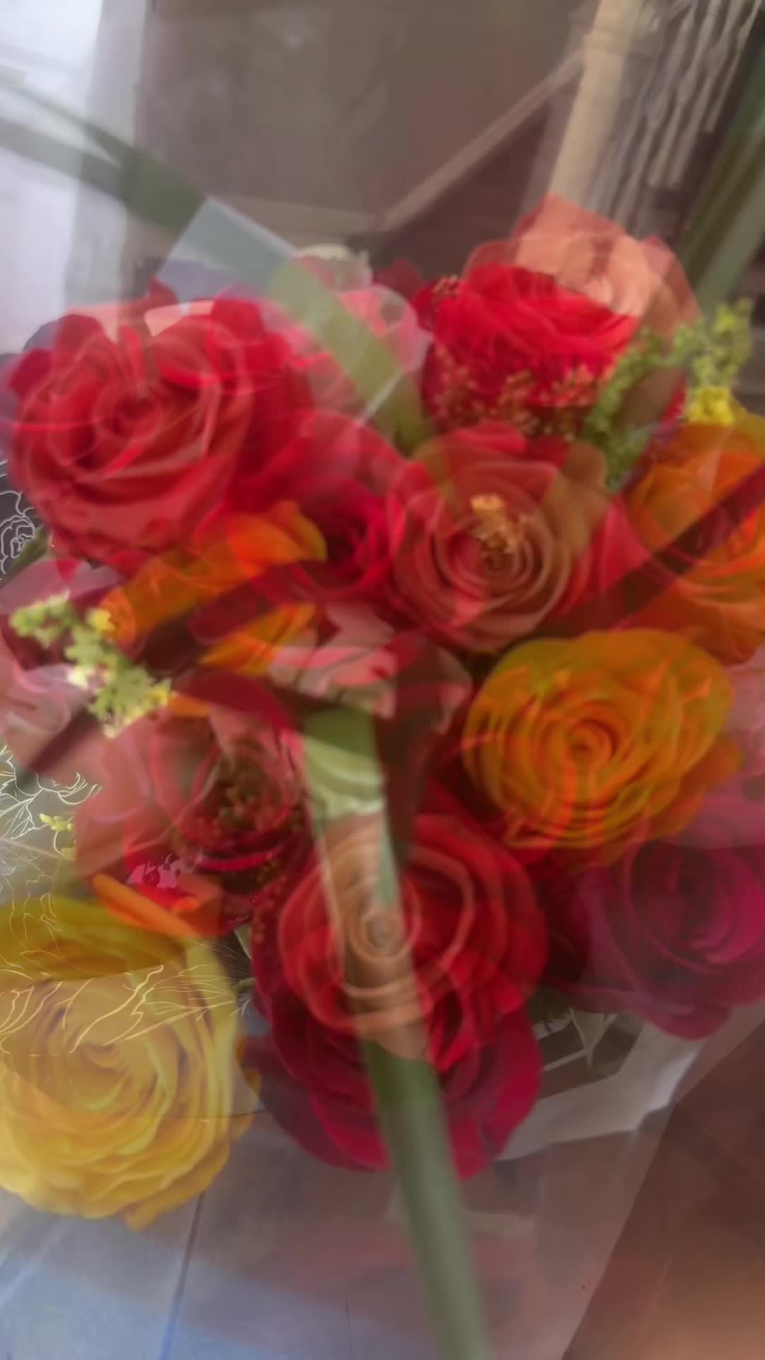 @Halo🥀💋