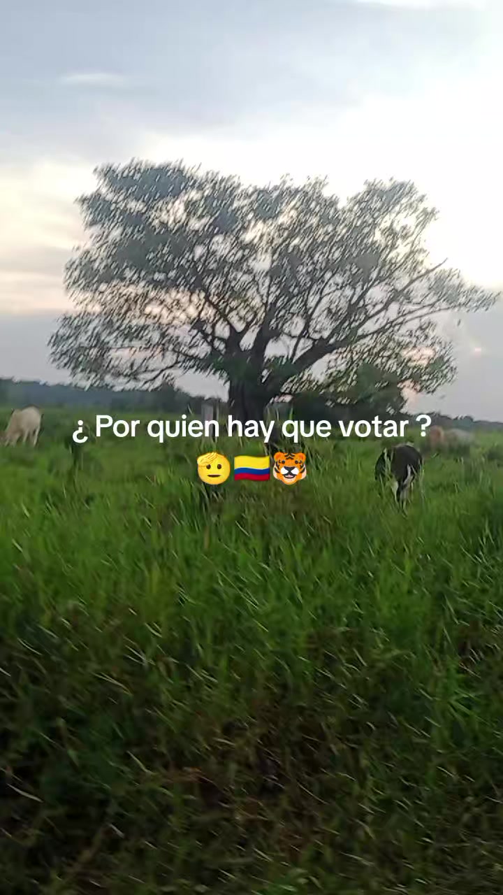 @A'B