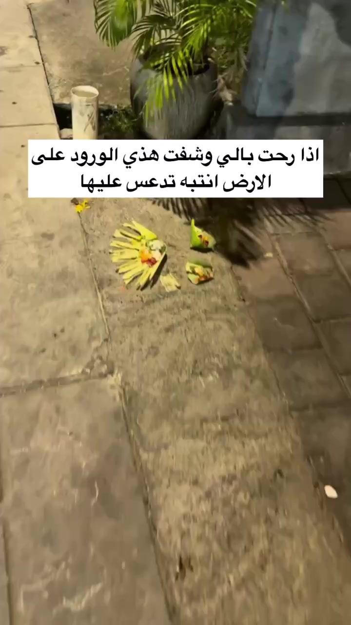 @روح العالم 🇸🇦🇷🇺