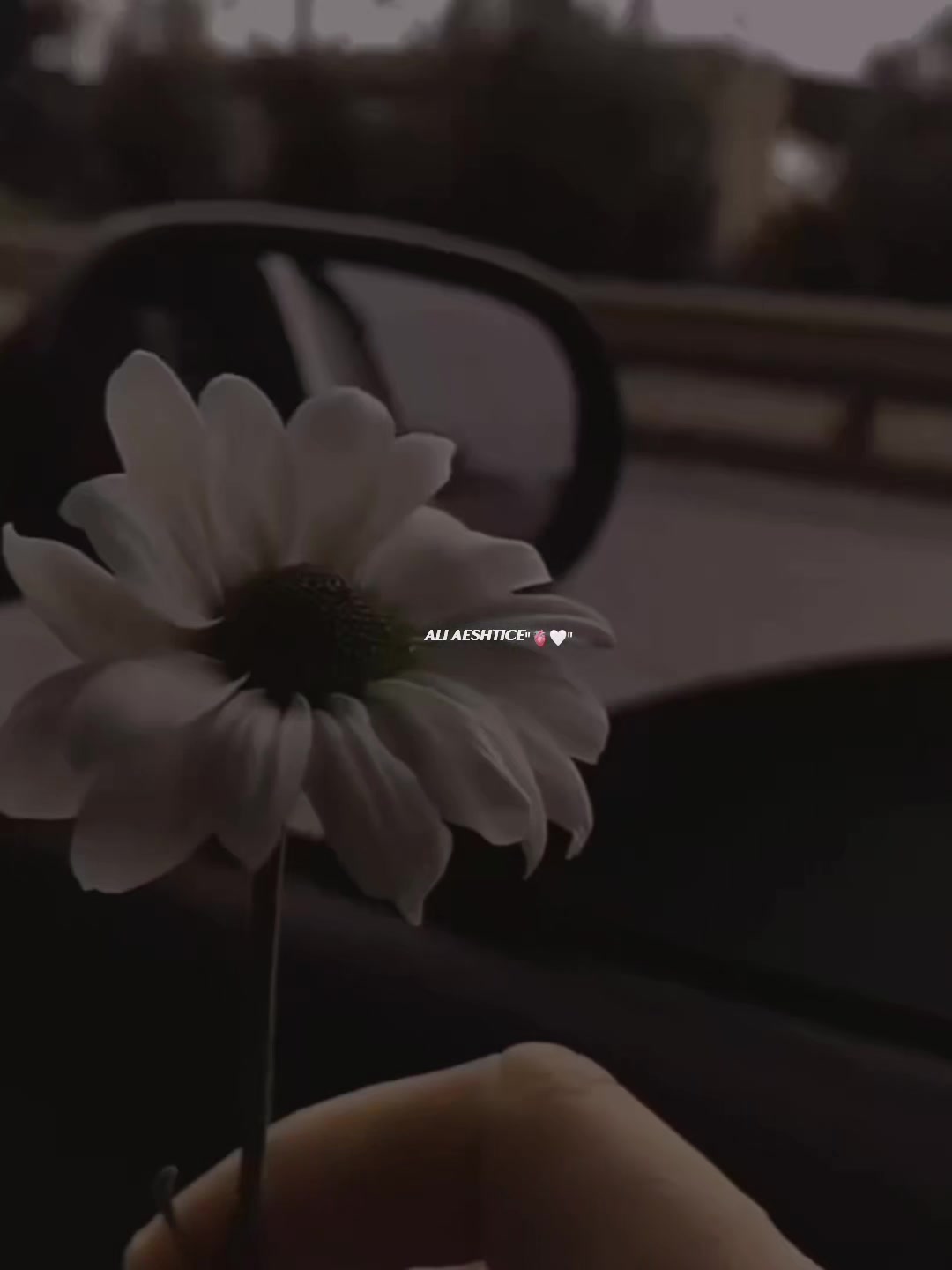 @𝗔,𝗥 ♡