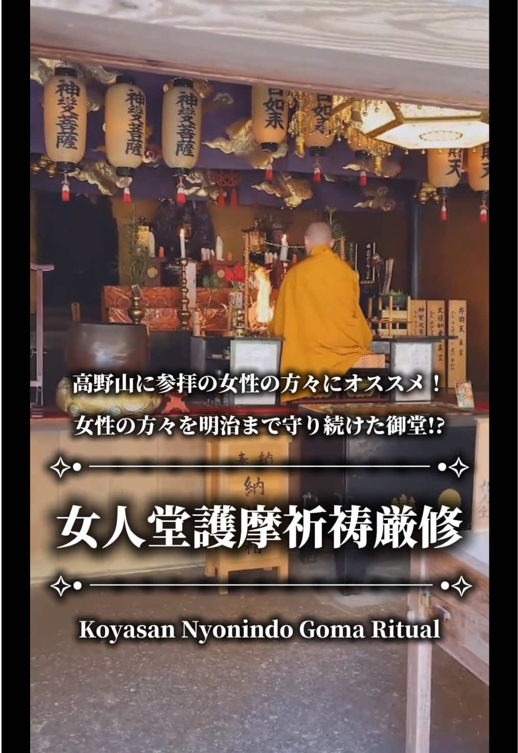 @Kōyaの秀ジィ🦊🐾