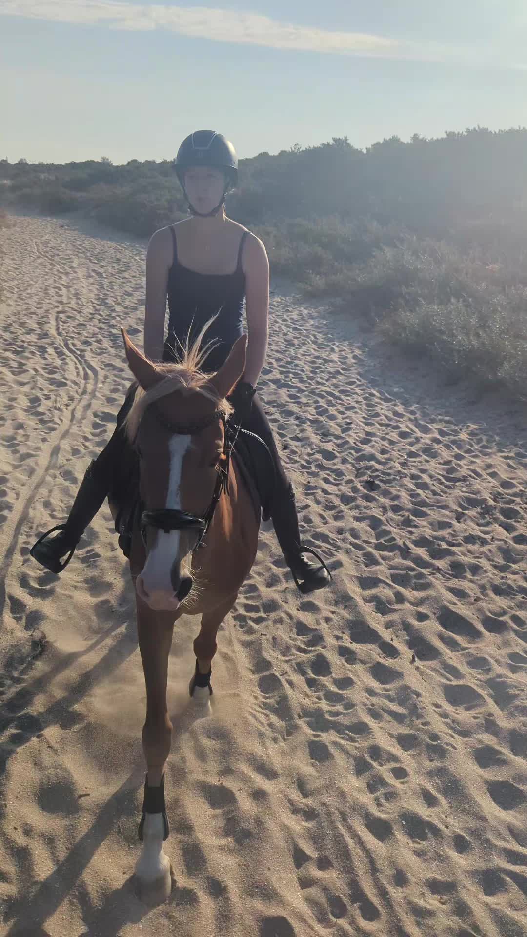 @Elegantia Horses