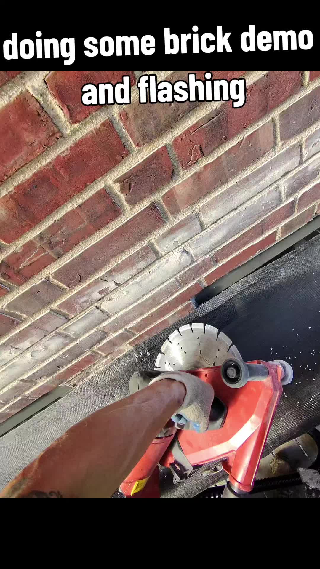 @Bocephus