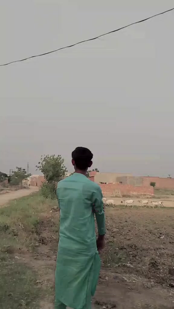 @Shah Saab🤟☝️