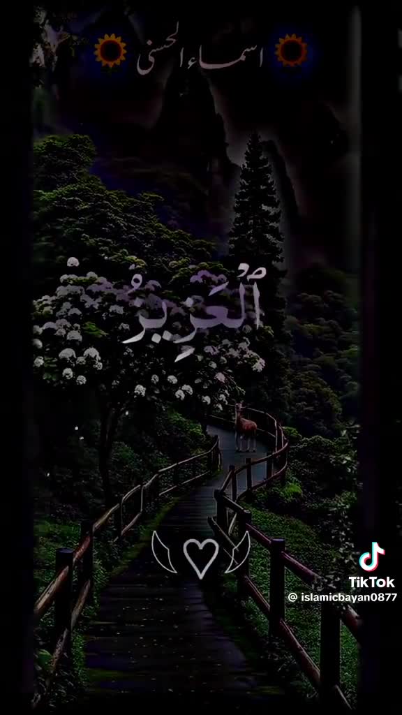 @usmanterni