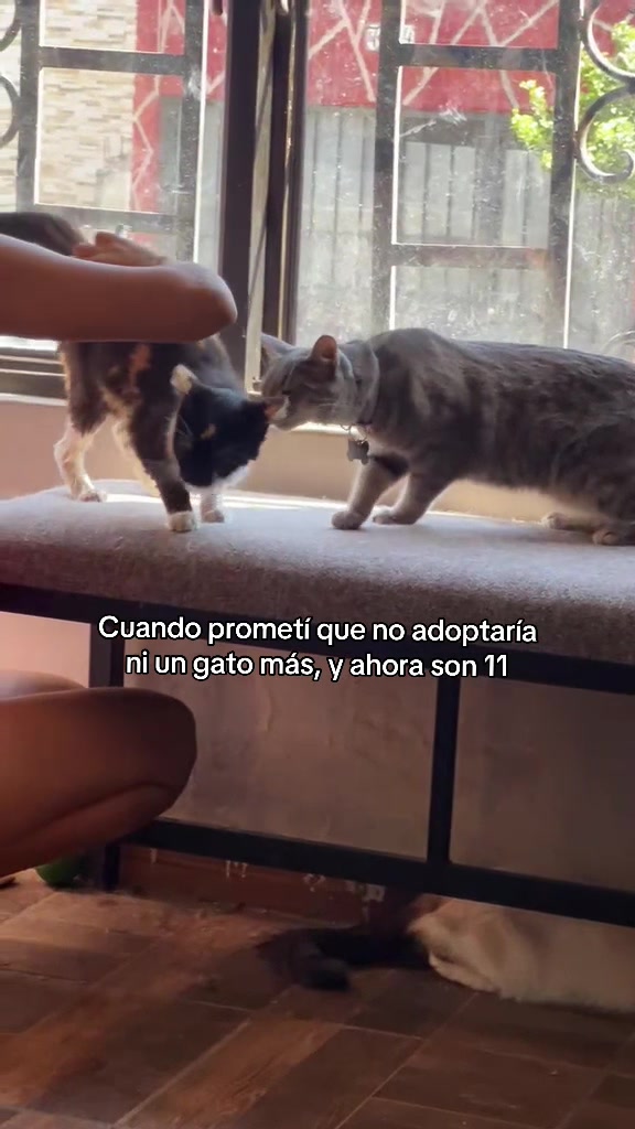 @liz_arteag