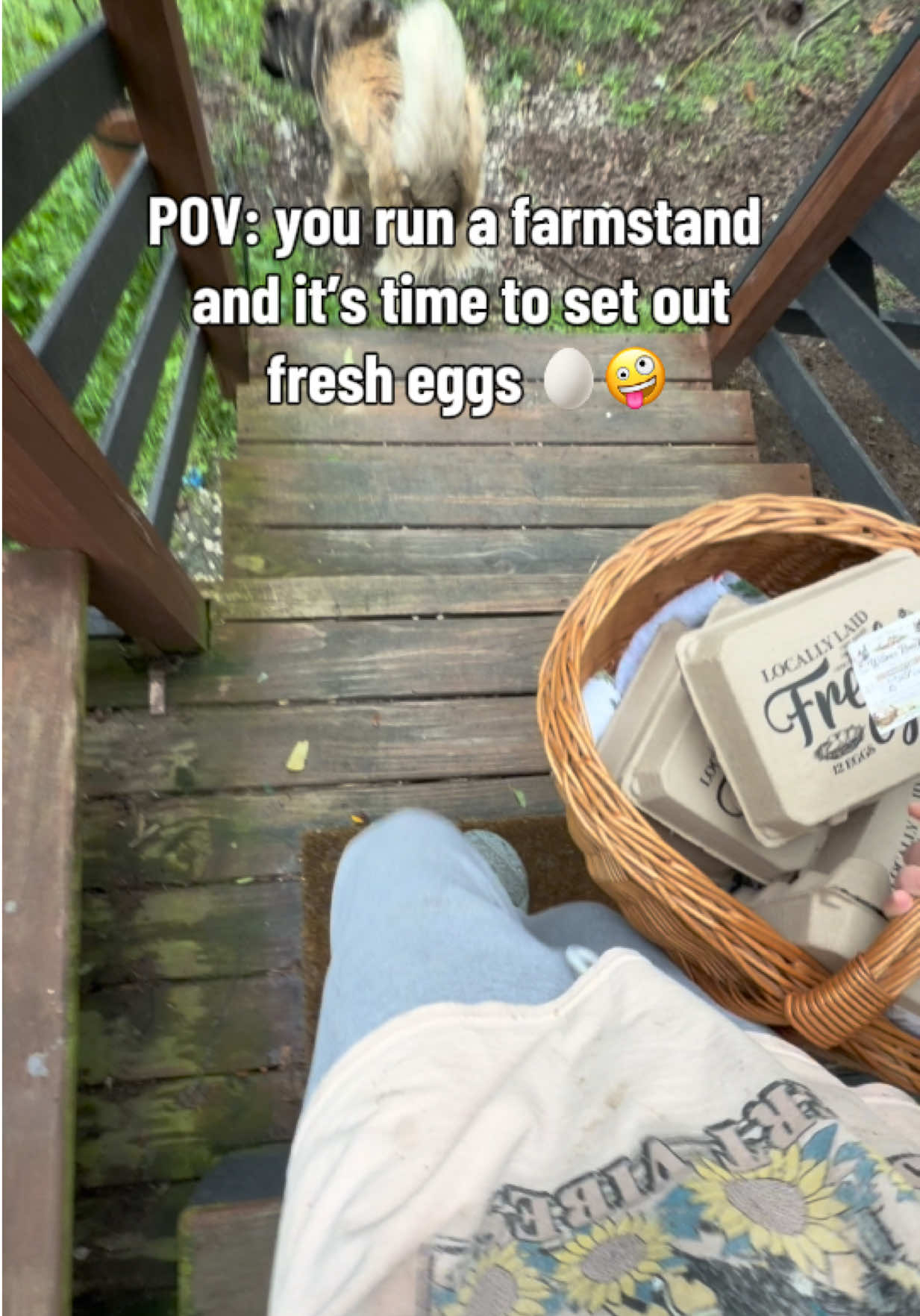@Haley The Homesteader