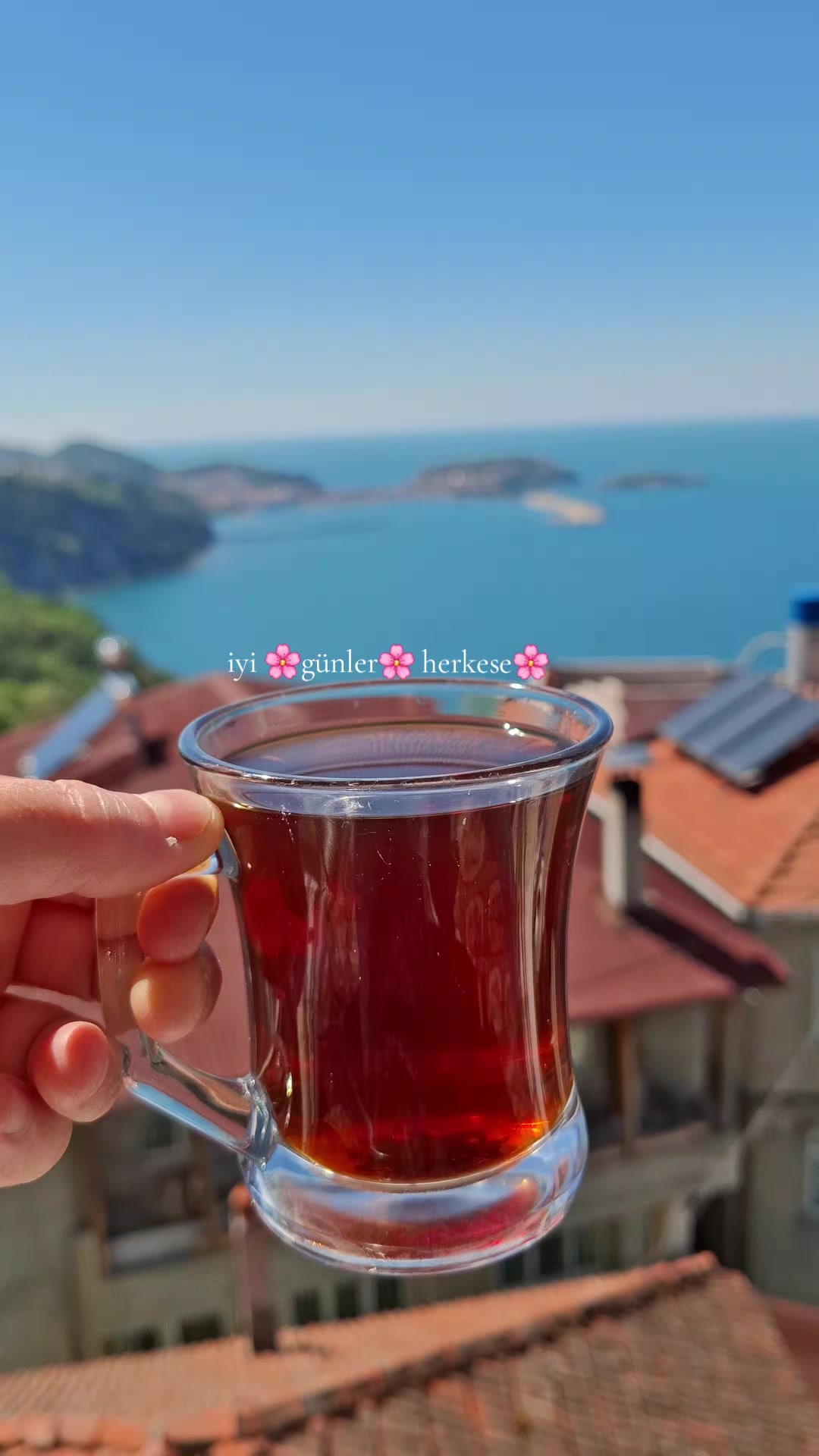 @Ayşegülgünter