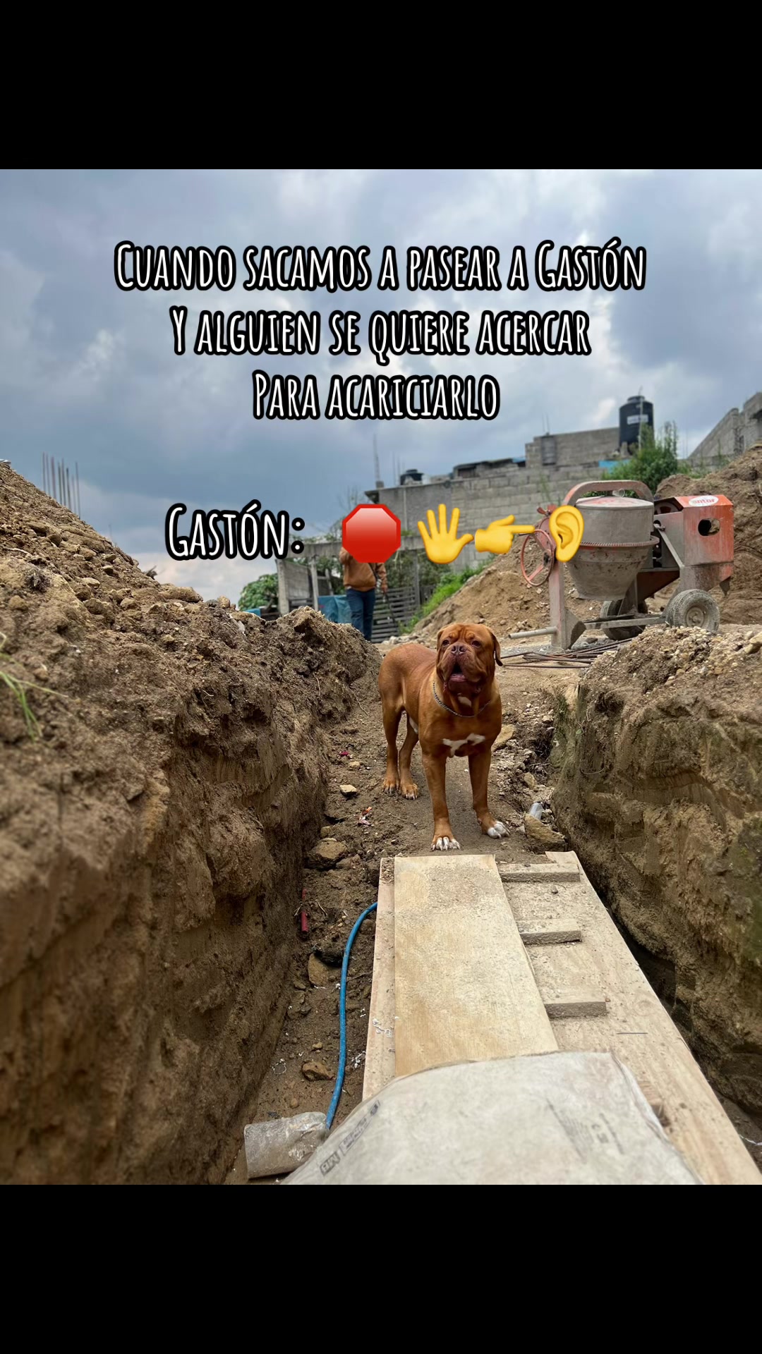 @Gaston el cachorro