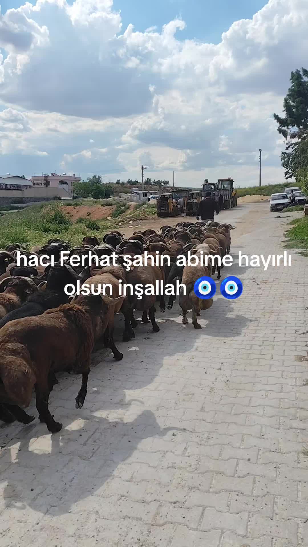 @nedim can ataş