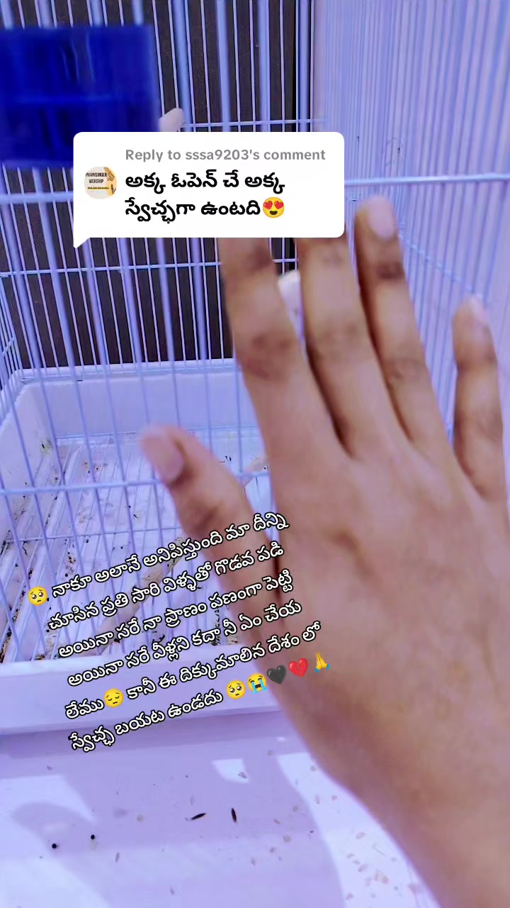 @😎యానాం🍻రాక్షసి🔥 MLA💝🌈🤗