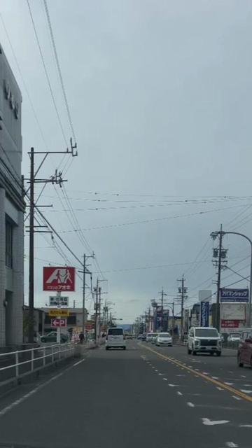 @達磨寅次郎