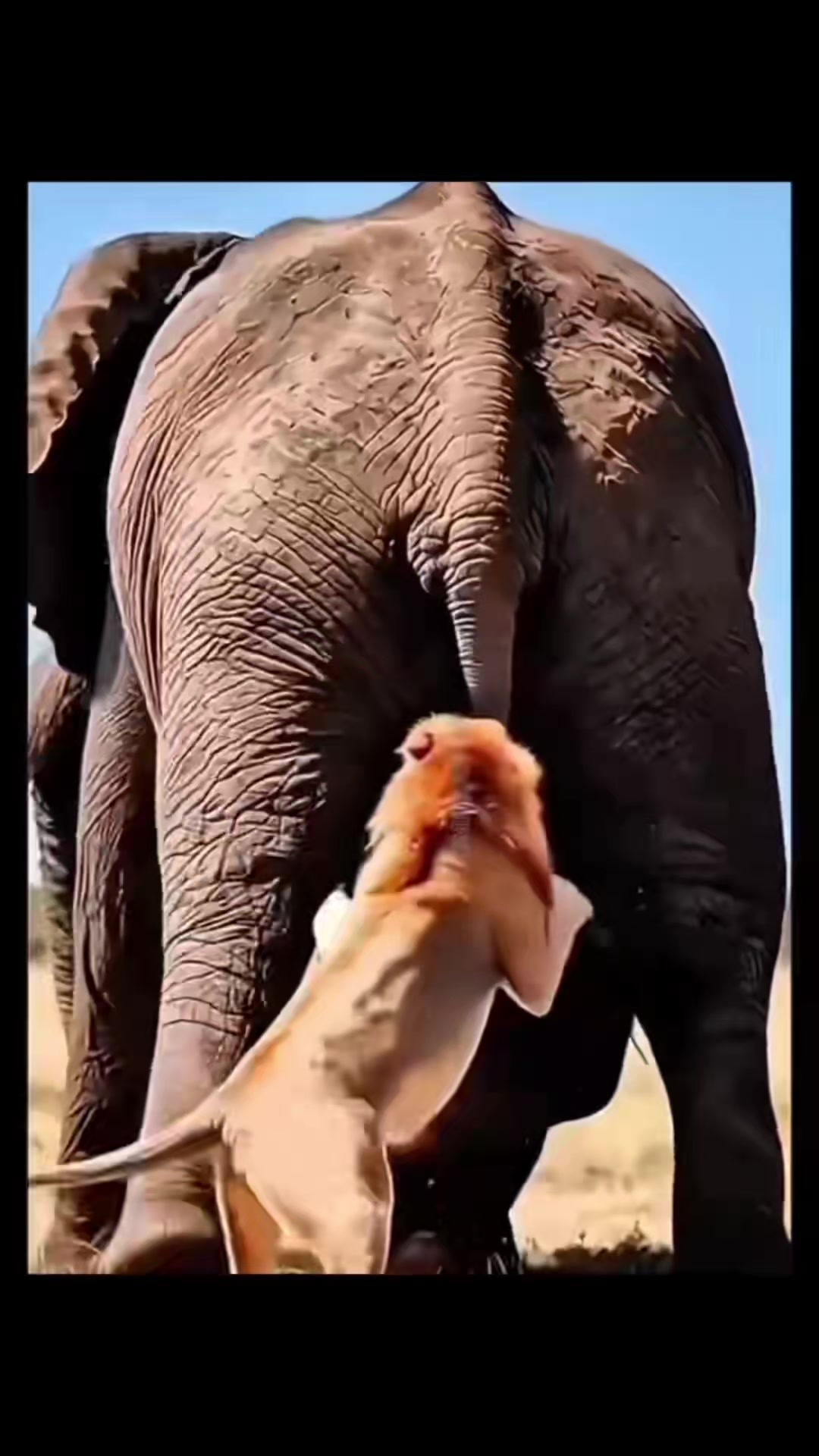 @Setuyuwadanger🌹❤️!!!.