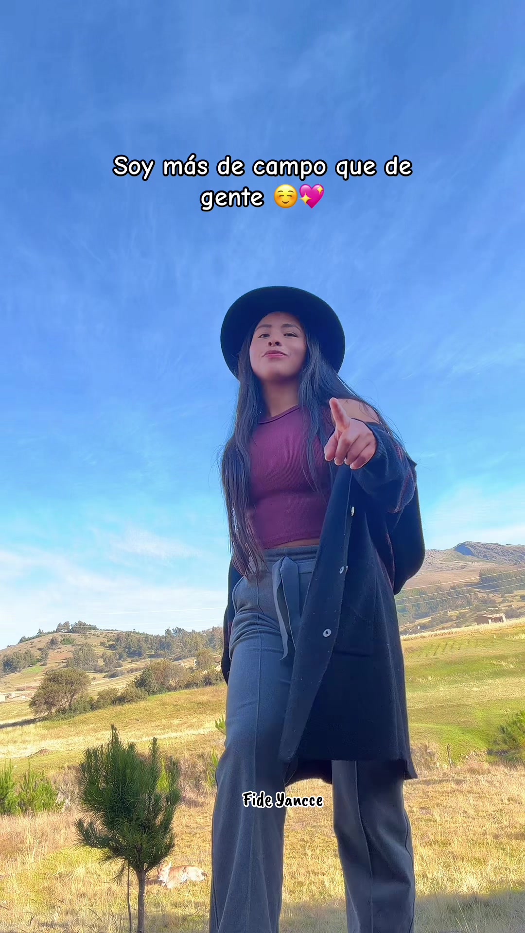 @🌳𝓕𝓲𝓭𝓮 𝓨𝓪𝓷𝓬𝓬𝓮🌳