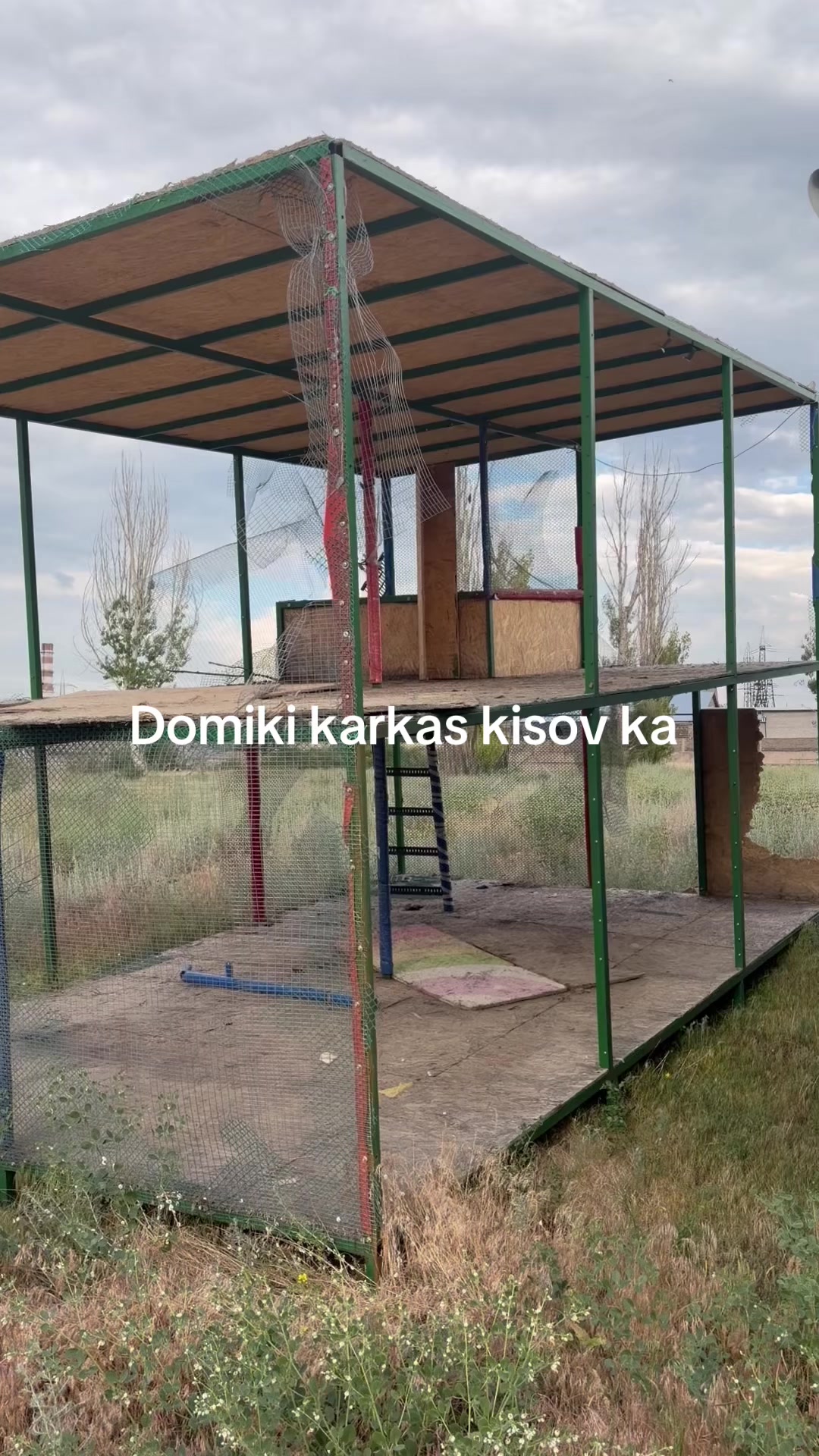 @SOLLAXS