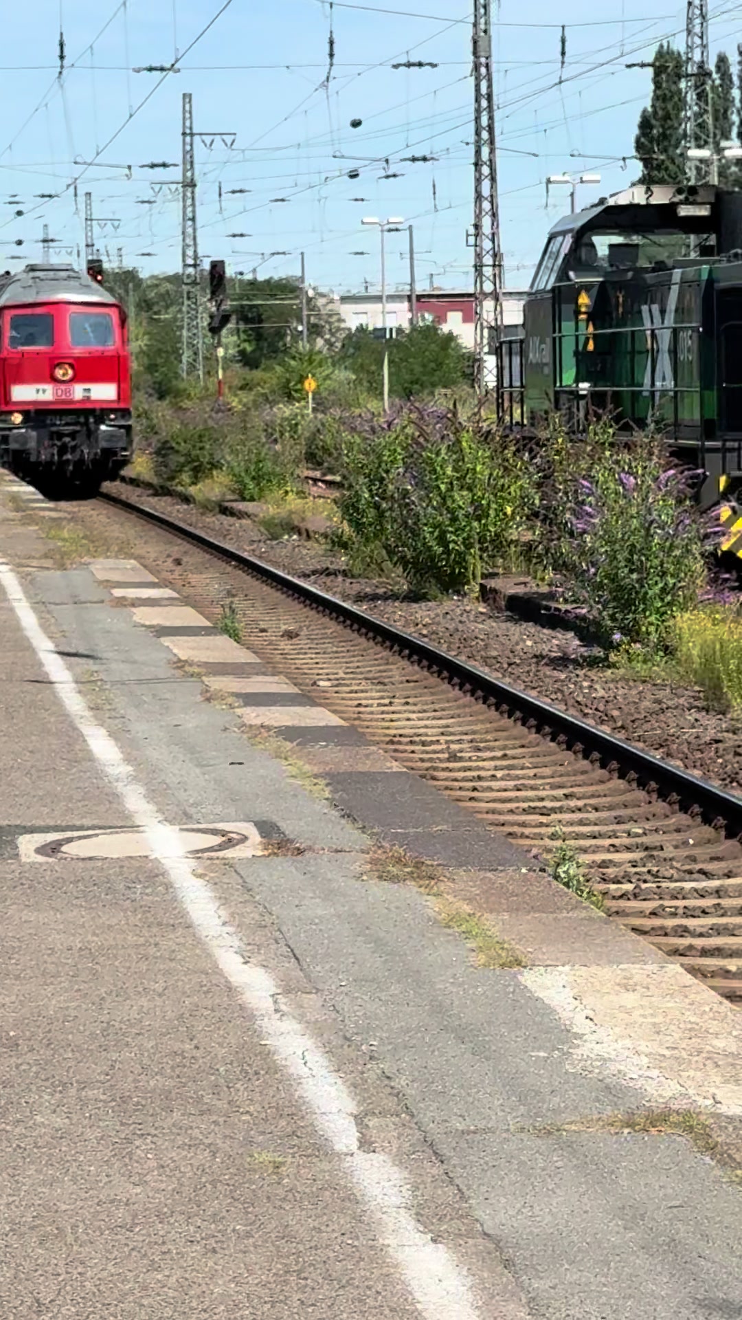 @S-Bahn TrainspotterWindeck