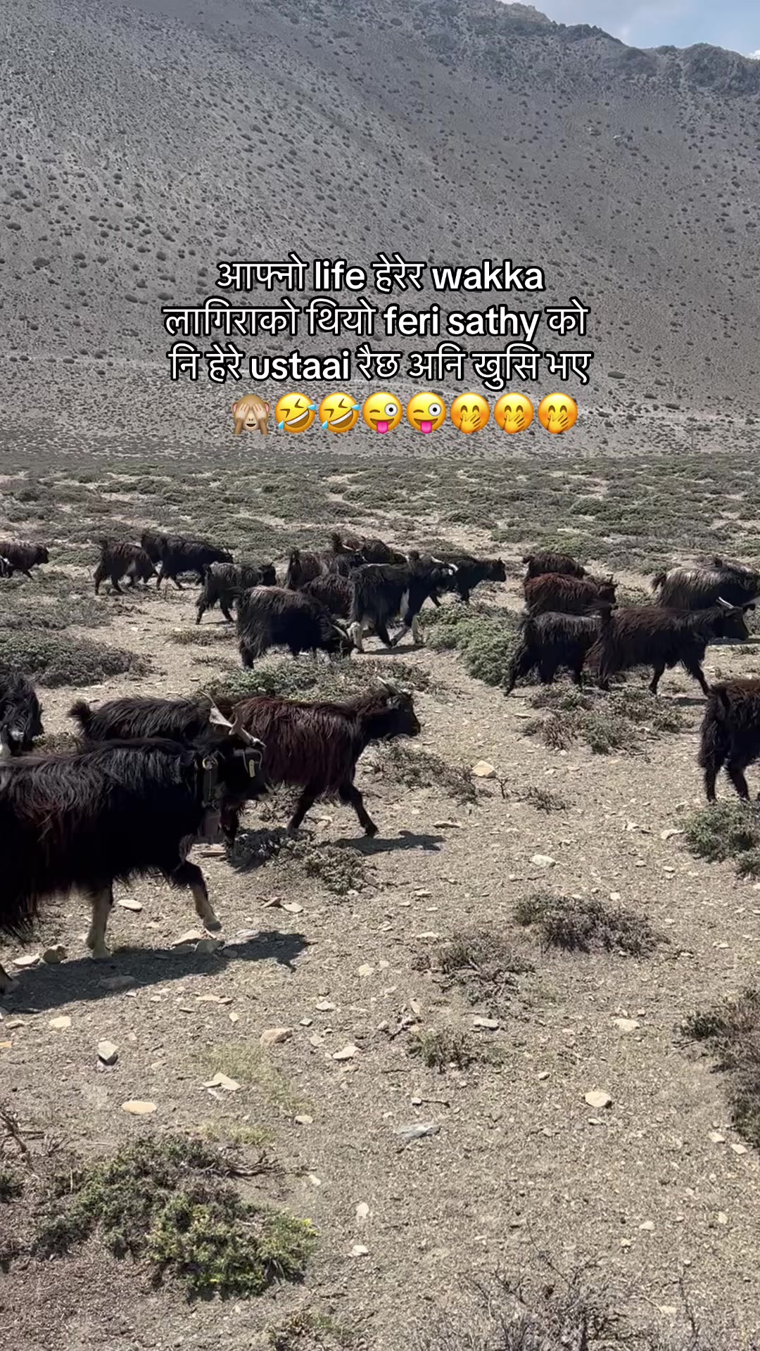 @Sabina Satyal 🇳🇵🇯🇵