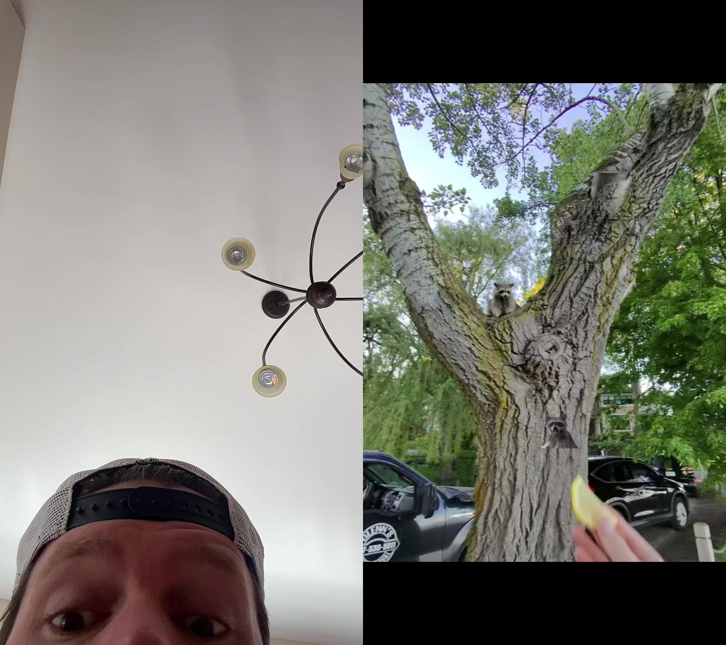 @chritsburgh