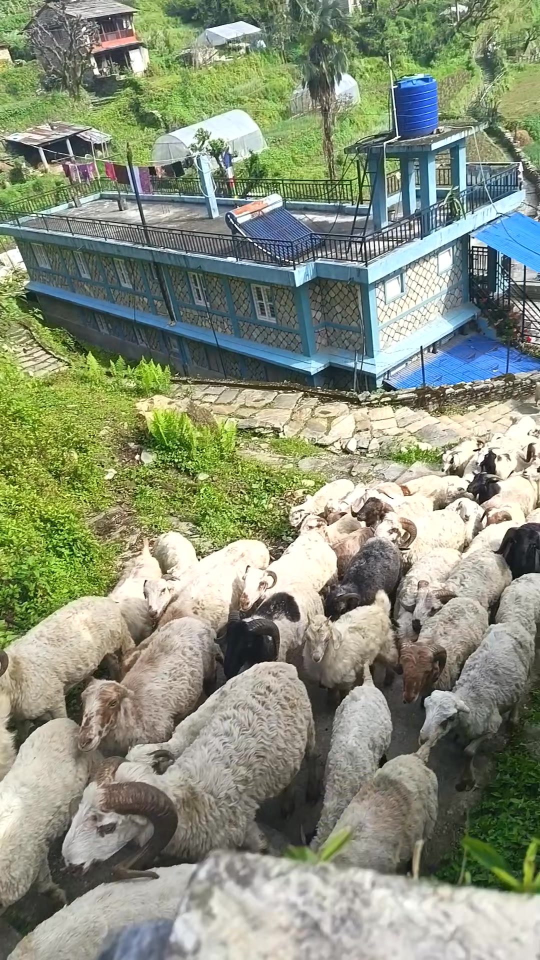 @इरिषा