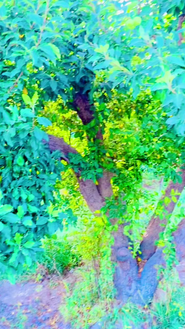 @🥀کاکــــڑ 🤟صــــآبــــ .🥹💯