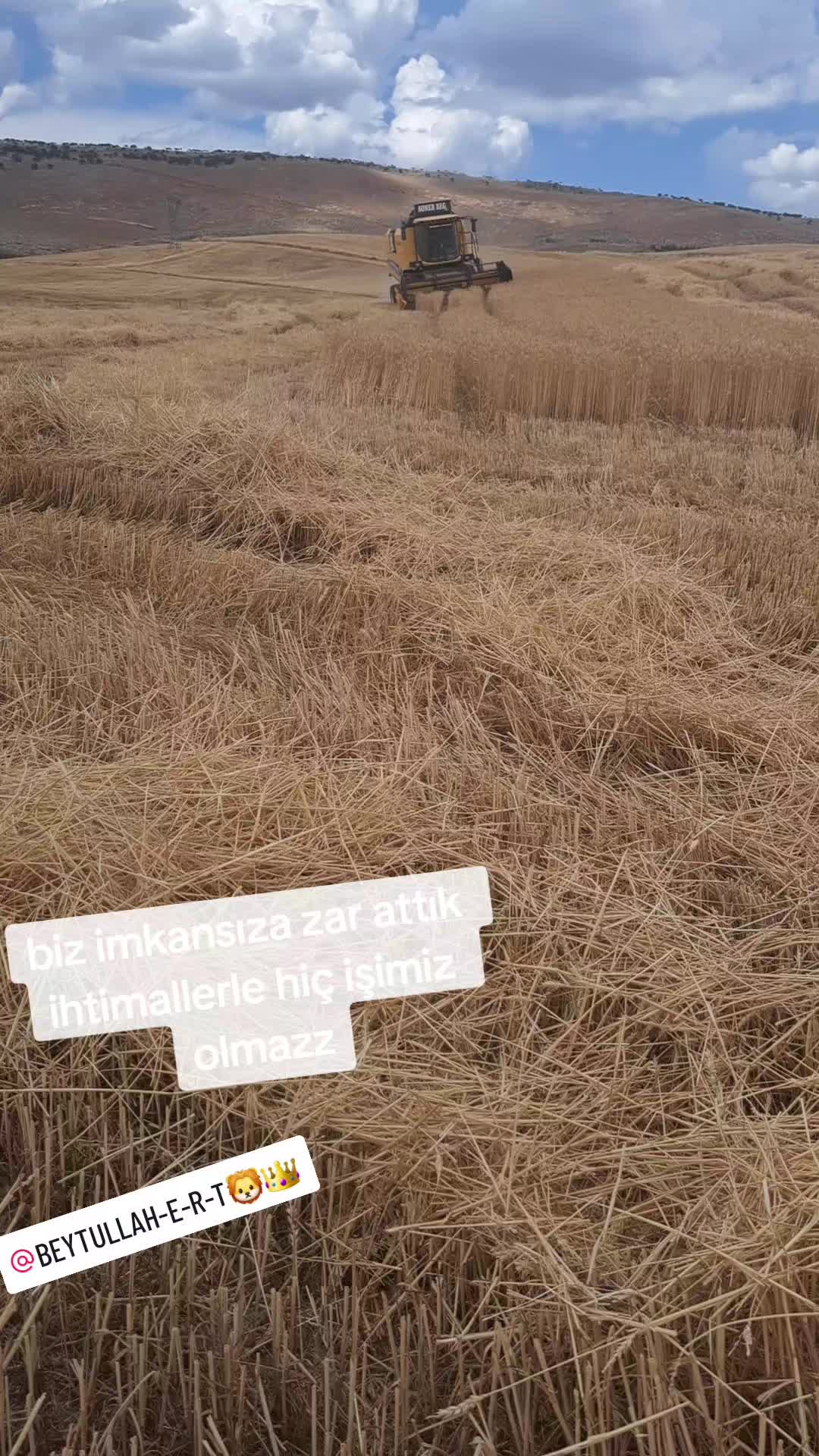 @Mehmet Yalçın Tuğrul