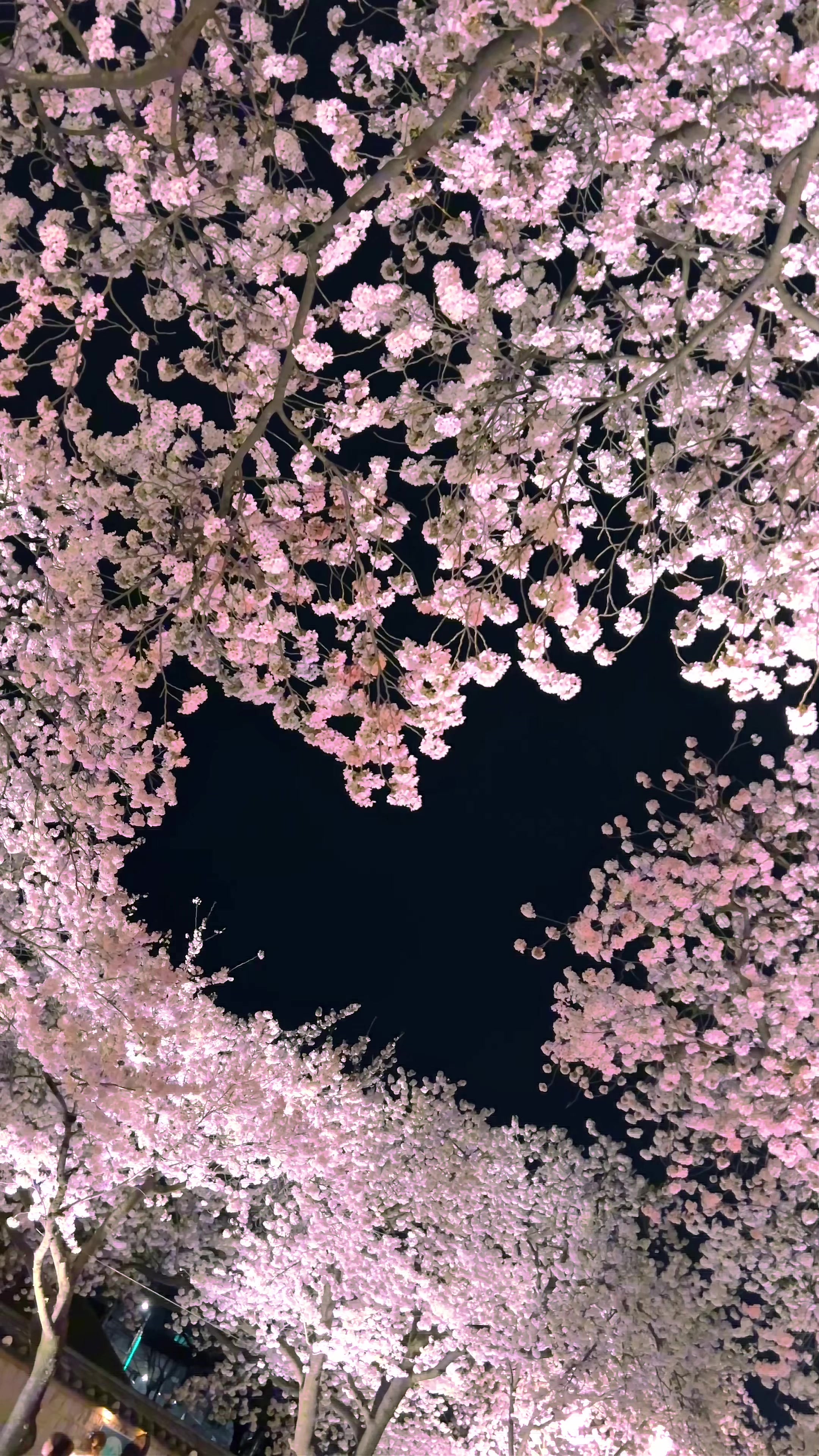 @알록달록프레임