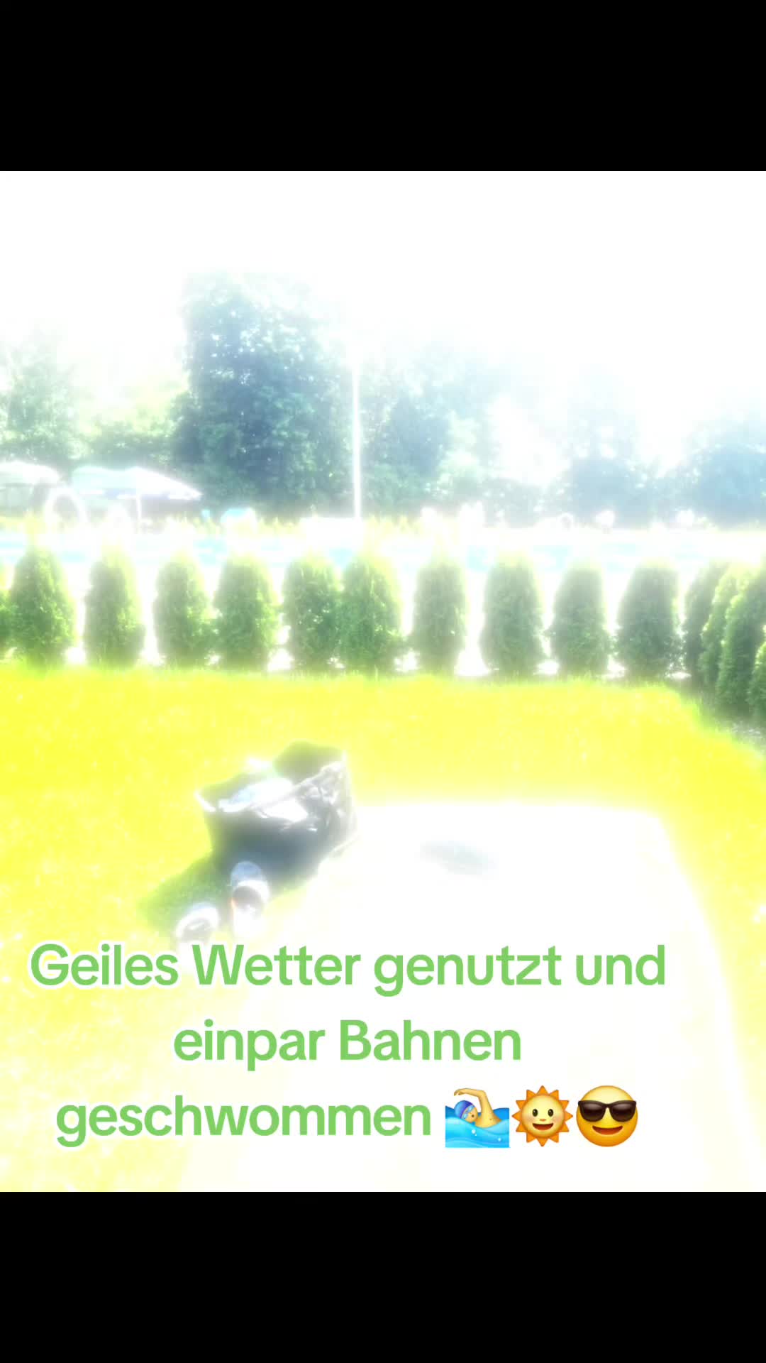 @PaulWolf🐺💚🤍