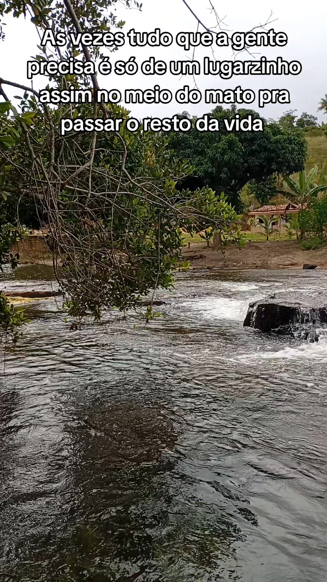@Roça 🤠🌱