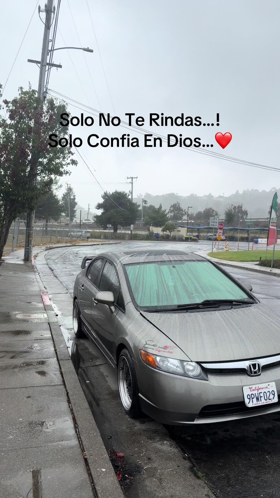 @Alex De León