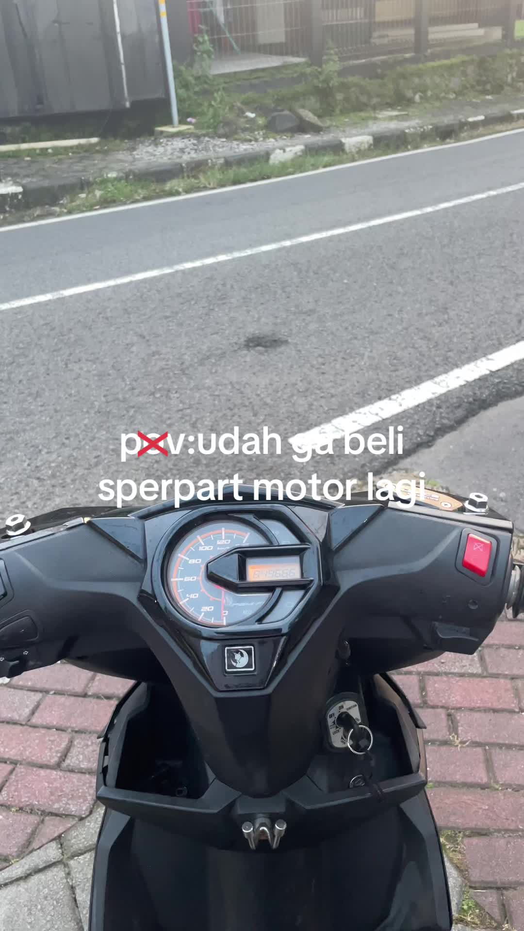 @𝙫𝙞𝙣𝙘𝙮★