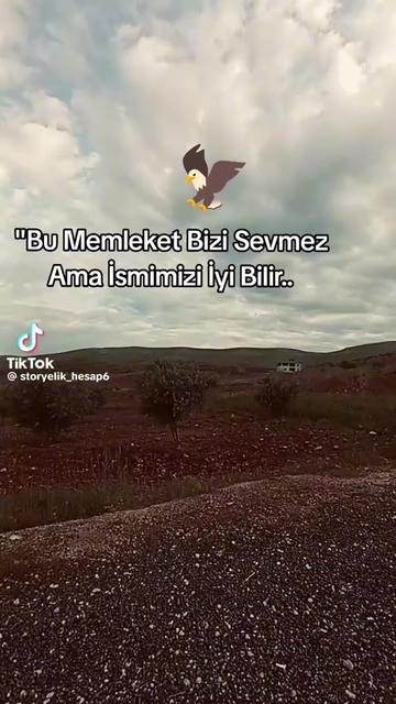 @👑🎲🥃Asi_Gonyalı.42🥃🎲👑
