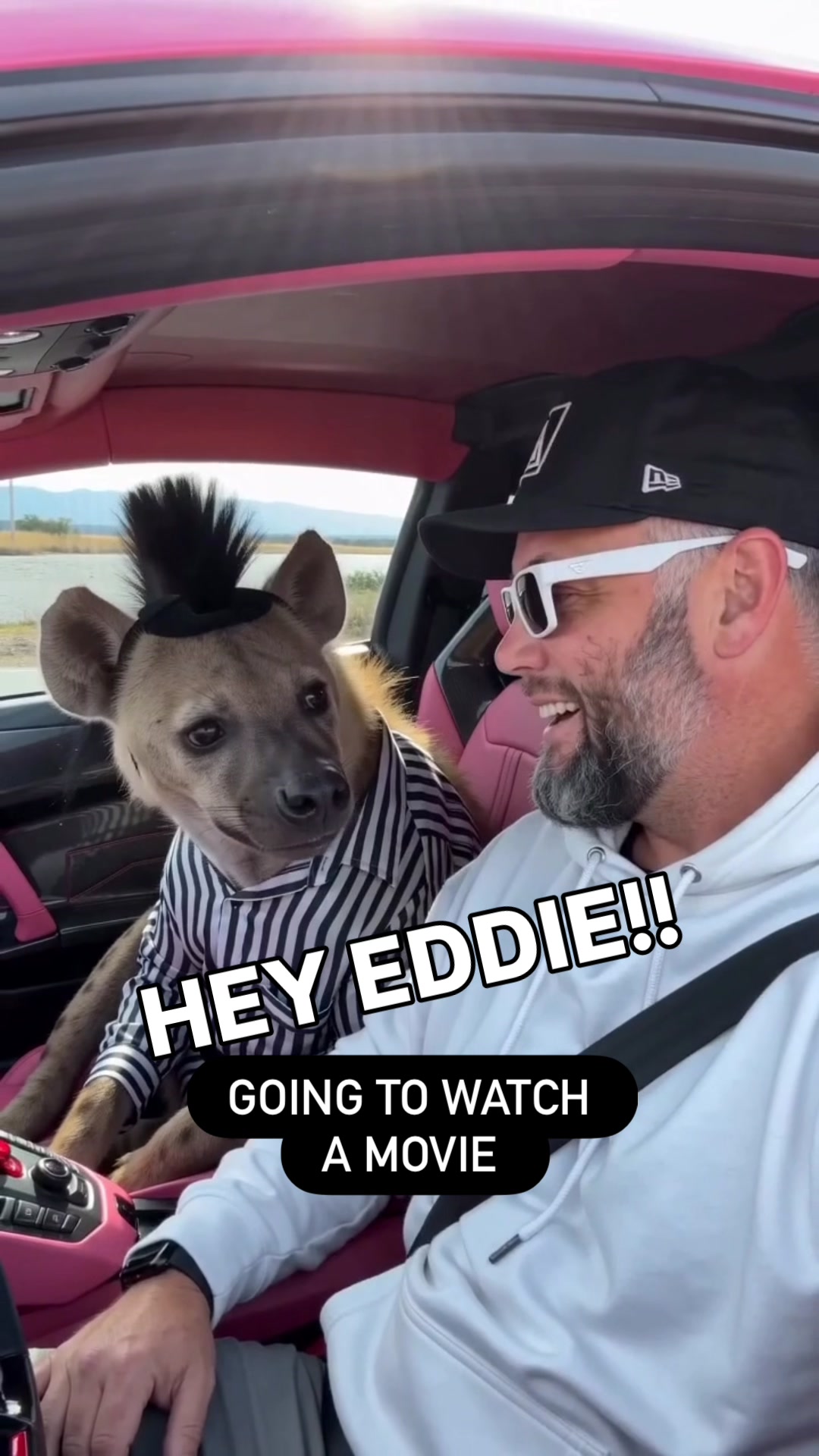 @EddieTheHyena