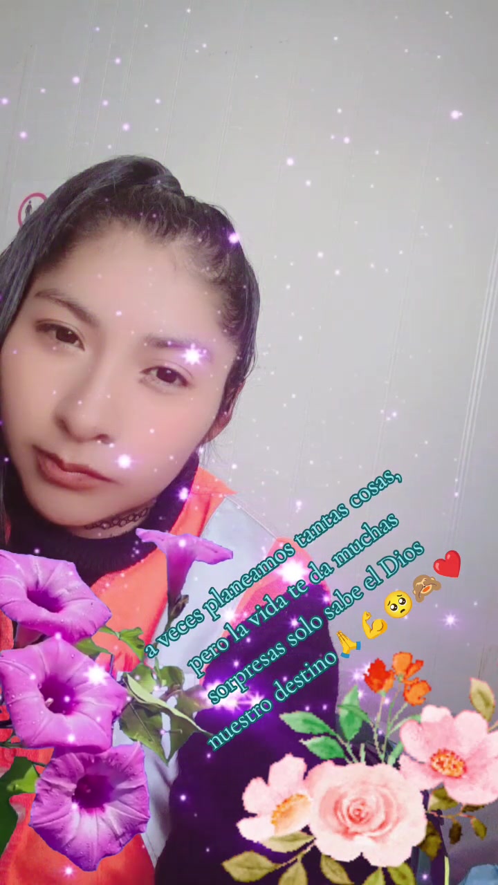 @🌺✨sycnarf💫❤️