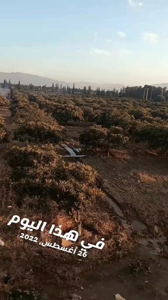 @KERDOUGHELI