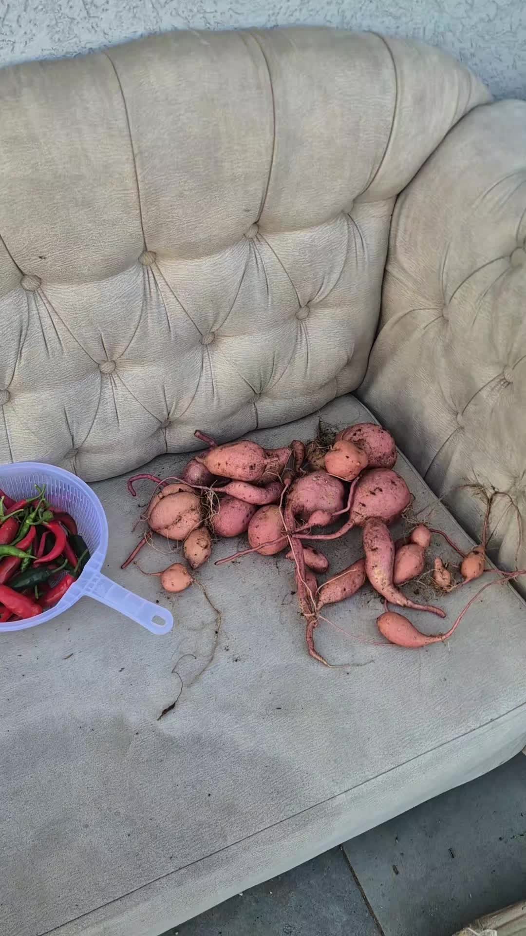 @ההוא ששם דברים על הסנטר