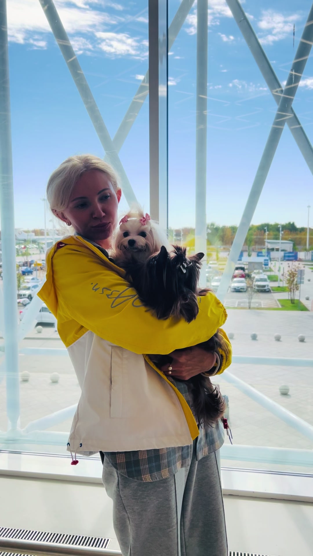 @Yorkie Maltipoo ShihTzu Teddy