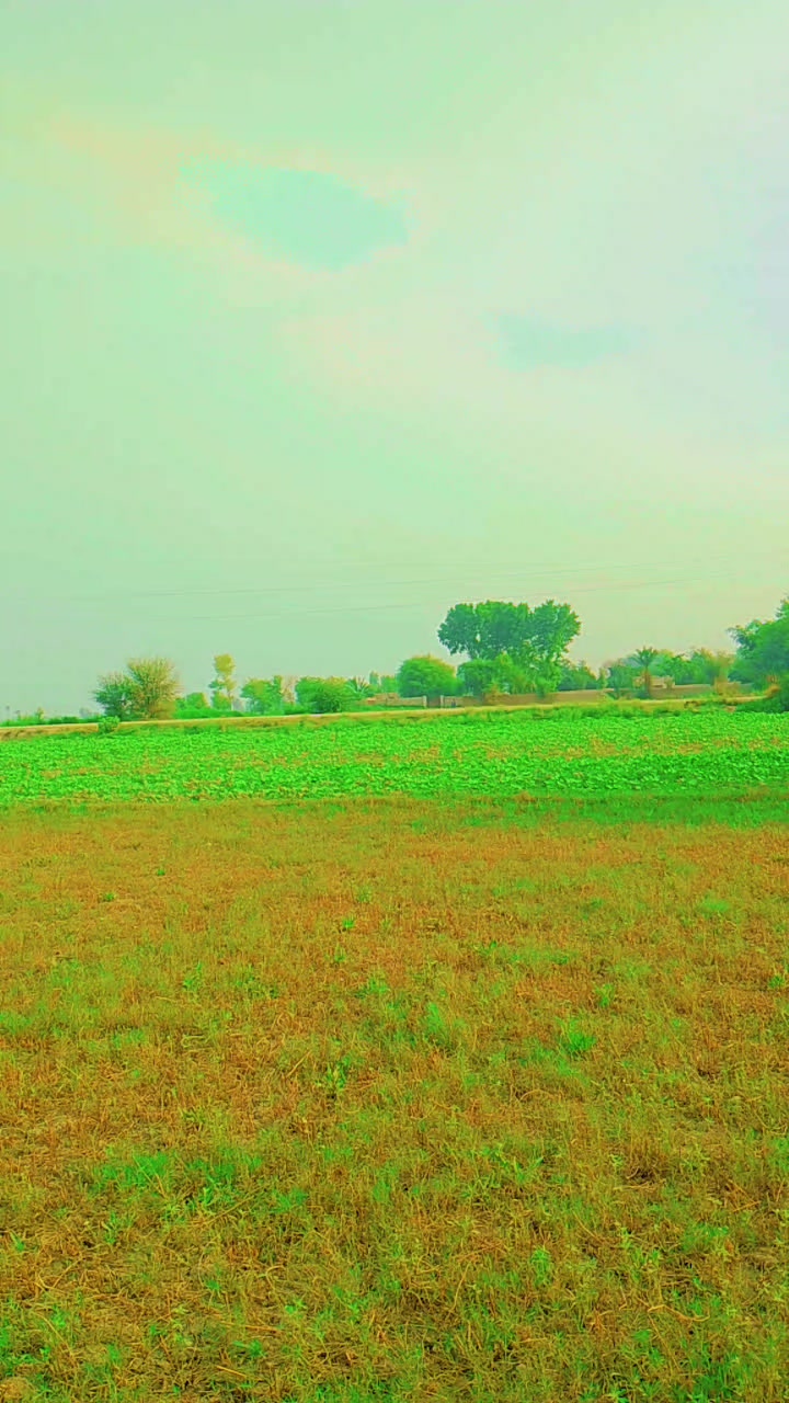 @bhai jaan