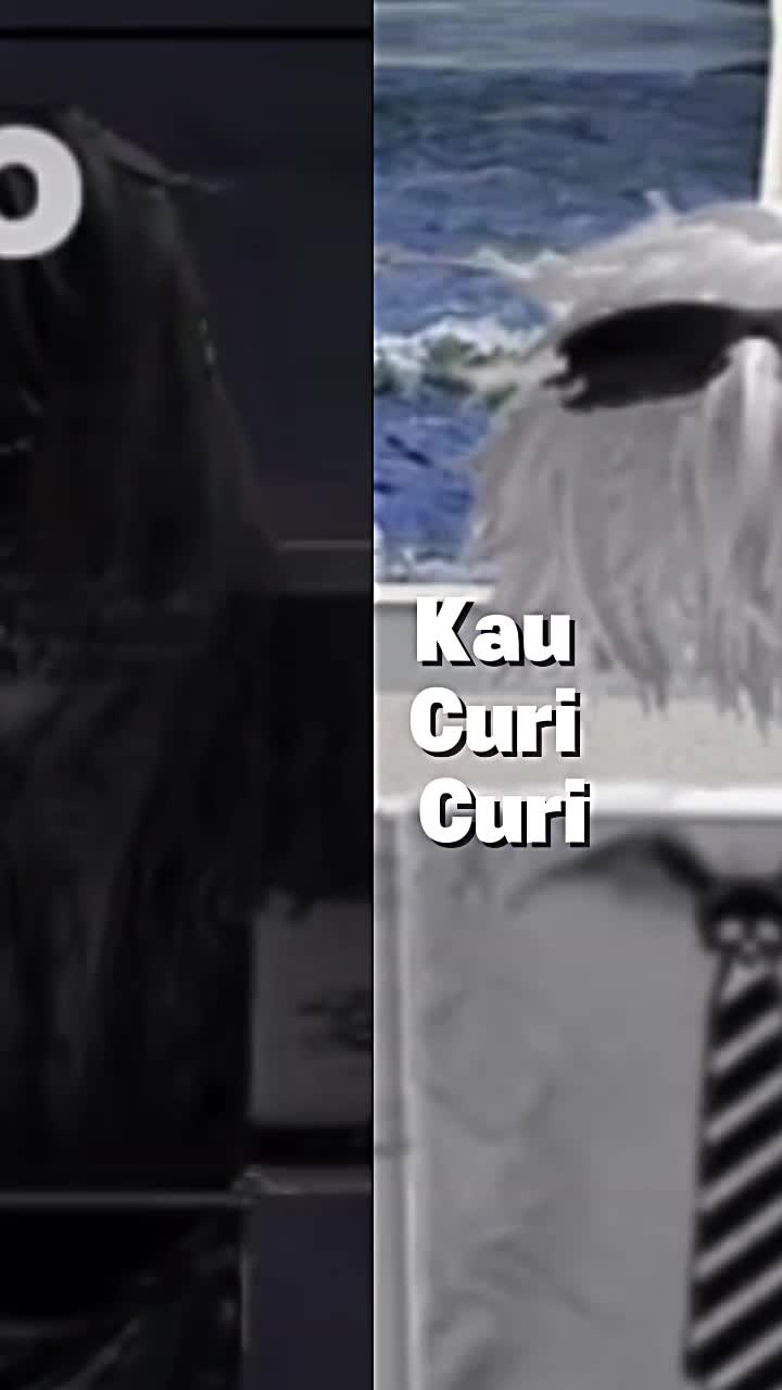 @⛧┈┈&bull;༶