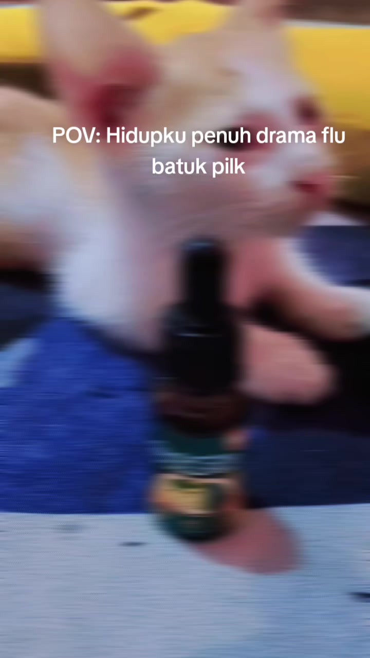 @Aini Nani