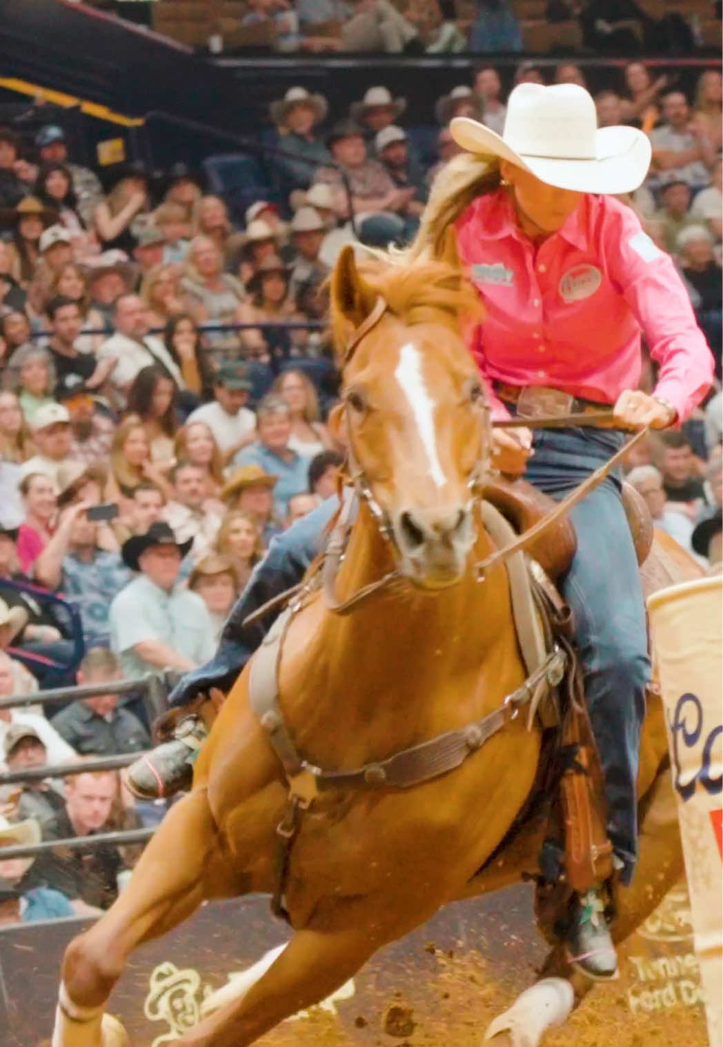 @cowboy_plus