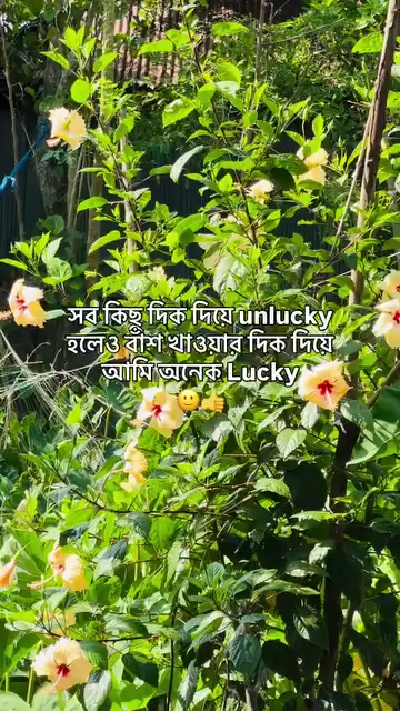 @🌷সুনামগঞ্জের ছেলে🌷