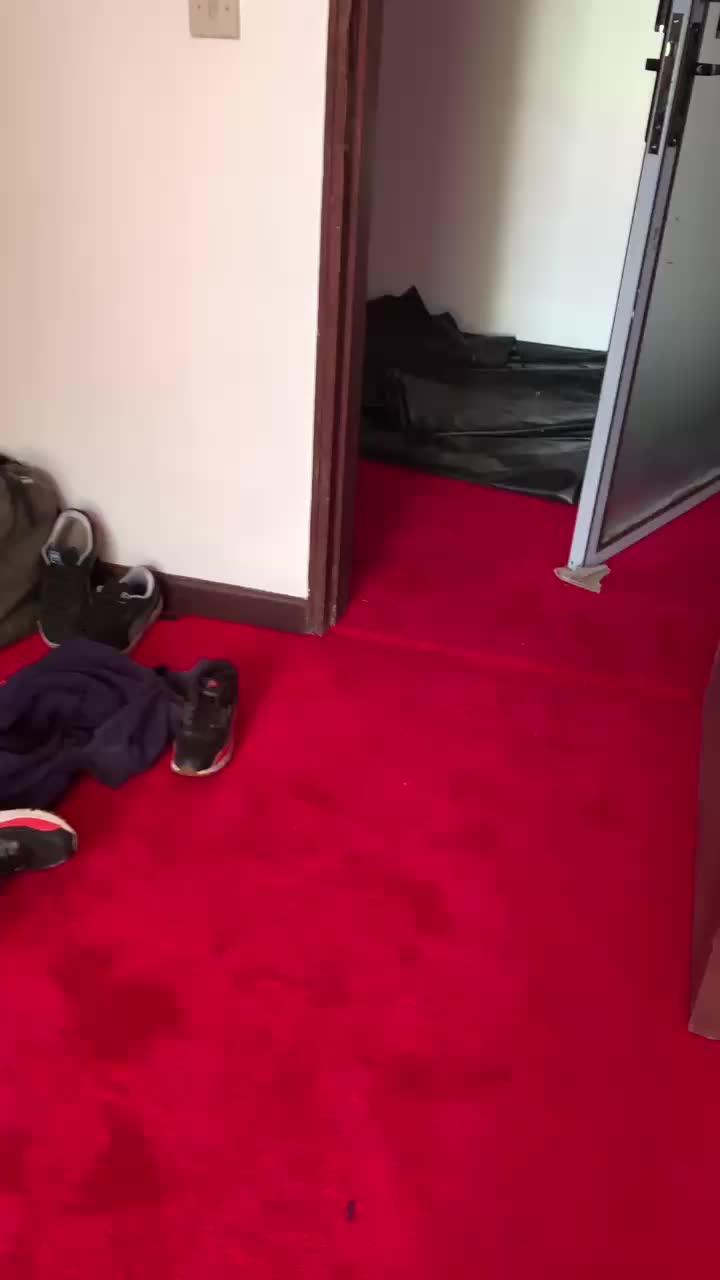 @carpetgrass Experts