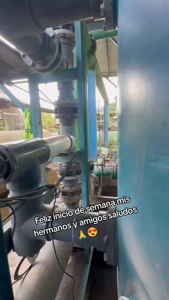 @Evercocyat