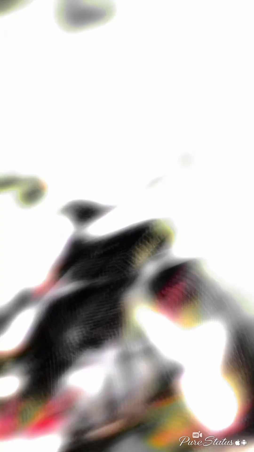 @┃ශාන් _ 𝐒 𝐓 𝐀 𝐓 𝐔 𝐒 ᥫ᭡֟֟