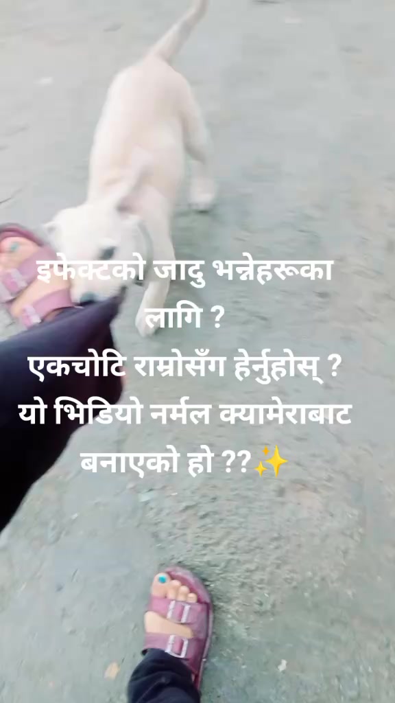 @sumitra thapa magar 55