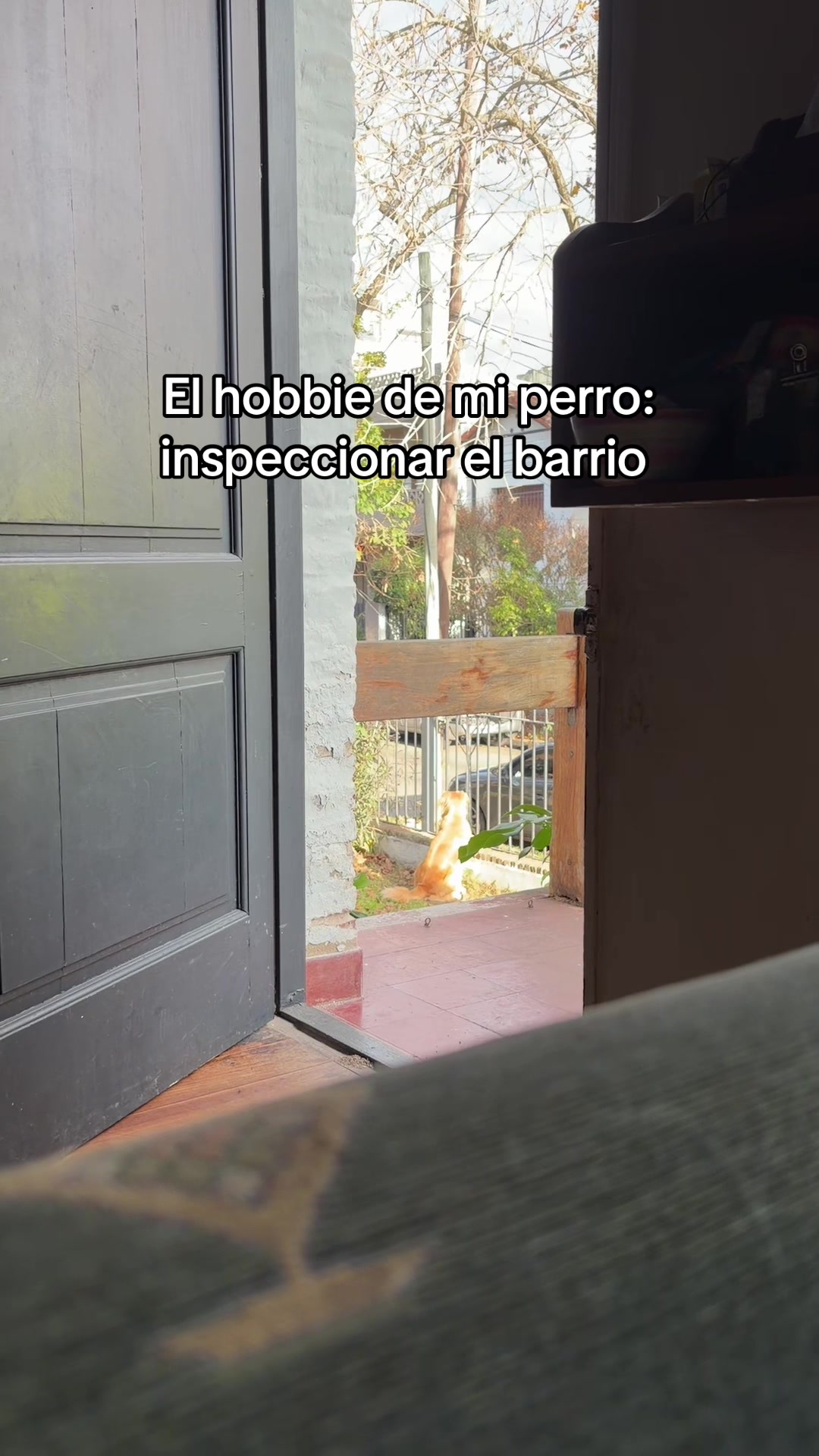 @Narco🐕🐾🐾