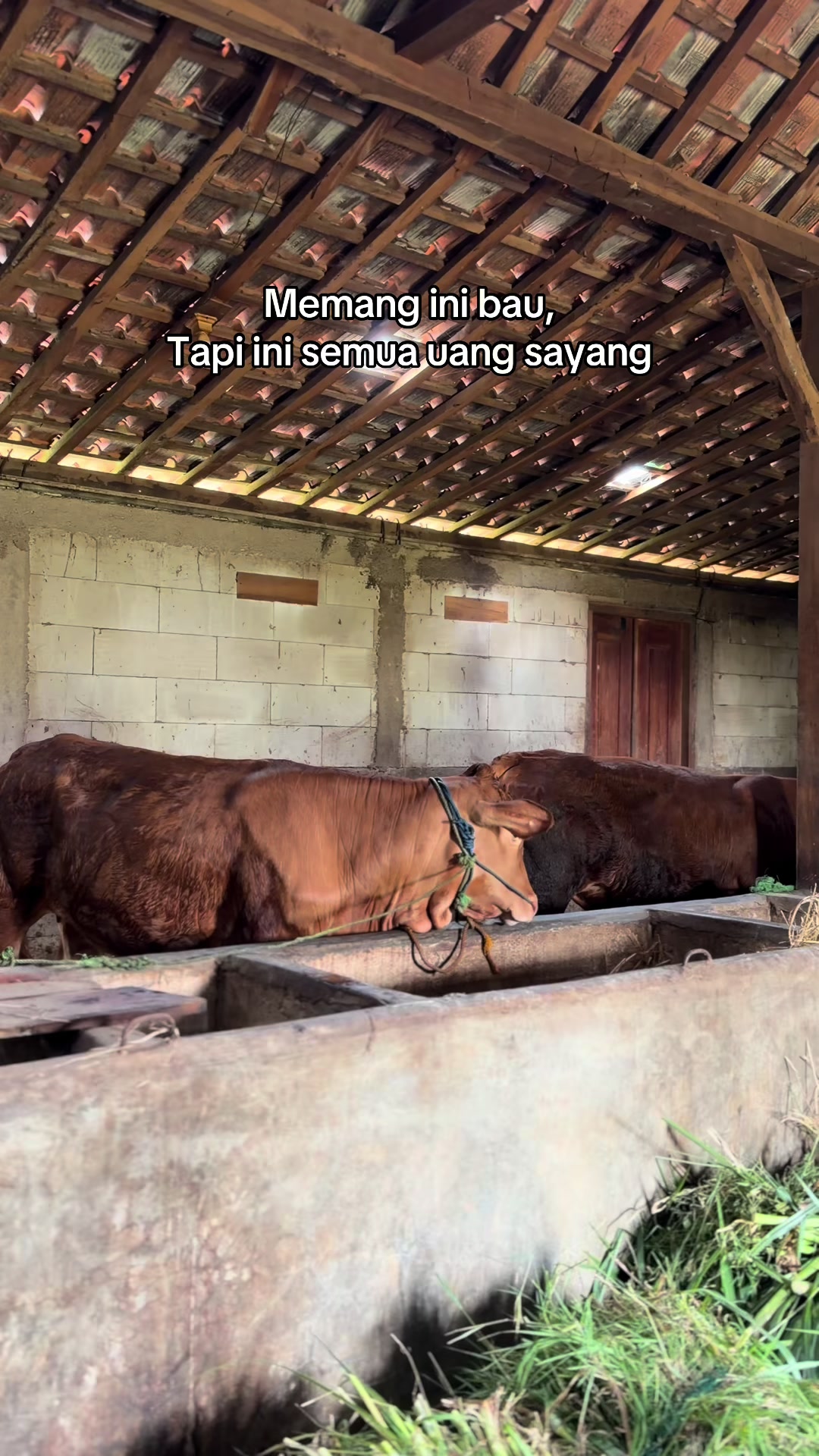 @zero farm