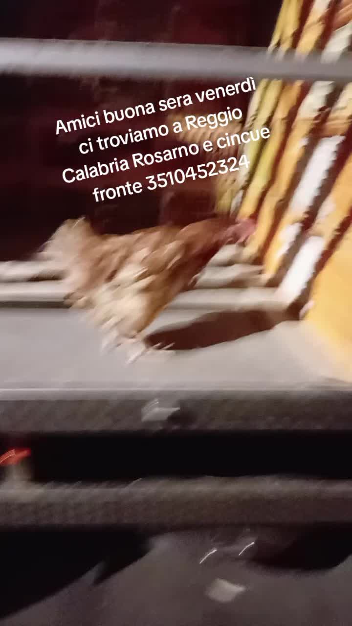 @Alfio Sciammacca