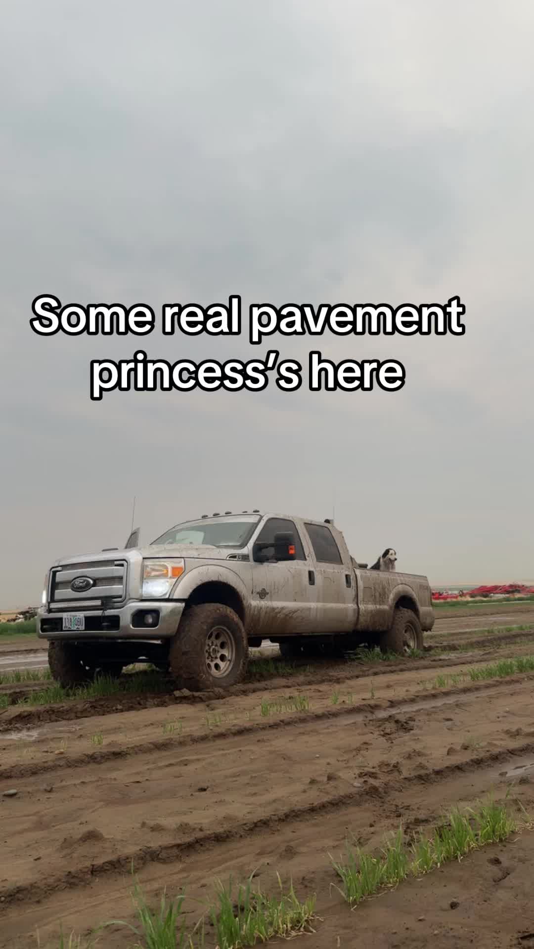 @daddytaruscio69